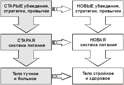 Обложка для статьи: Стратегический подход при коррекции избыточного веса