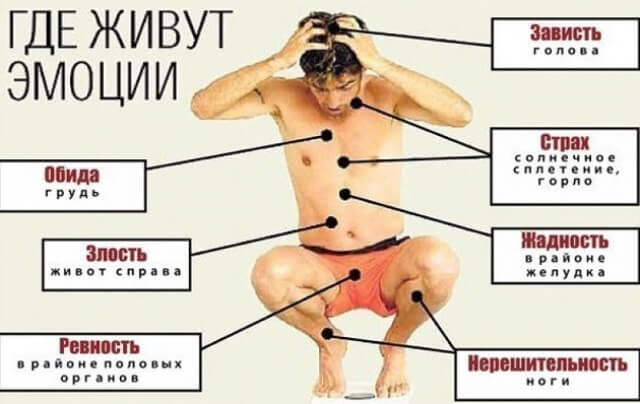 Обложка для статьи: Ваша верная подруга - эмоциональная боль.