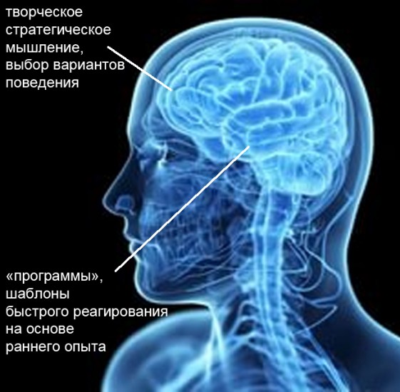 Обложка для статьи: Как стать Хозяином своей Судьбы