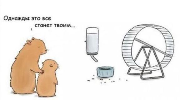 Как выйти из замкнутого круга?