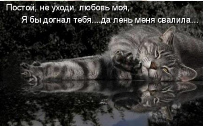 ЗАМРИ МГНОВЕНИЕ ПОСТОЙ НЕ УХОДИ СКАЧАТЬ БЕСПЛАТНО ЗАМРИ МГНОВЕНИЕ ПОСТОЙ НЕ УХОДИ СКАЧАТЬ БЕСПЛАТНО