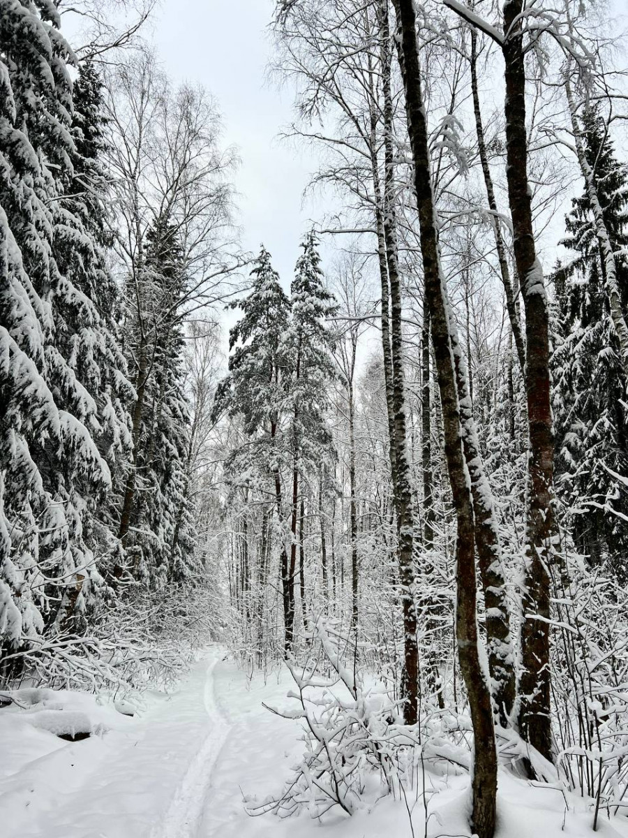 Смысл как воздух