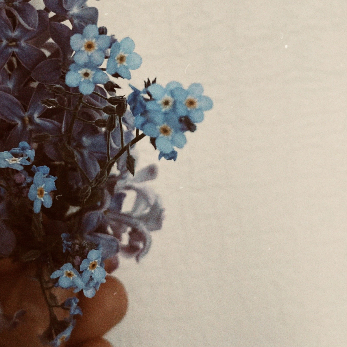 3 книги, в которых доходчиво объясняется теория привязанности