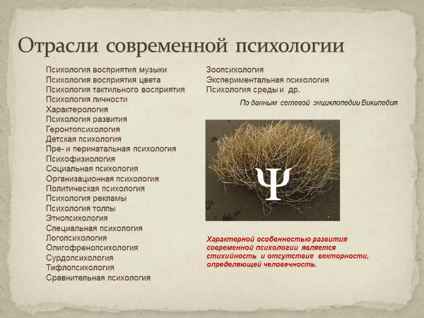 христианский психолог. православная психология сайты. основы православной психологии путь к исцелению. православная психология сайты. православная психология сайты.