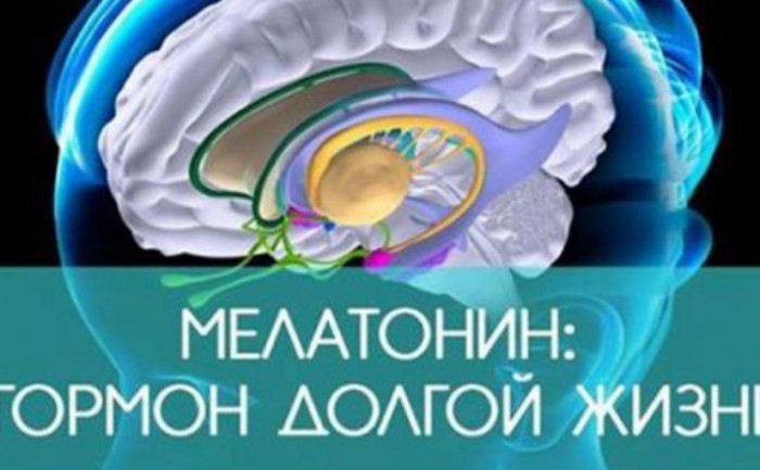 Мелатонин  причина долголетия Способ поднять его уровень в организме