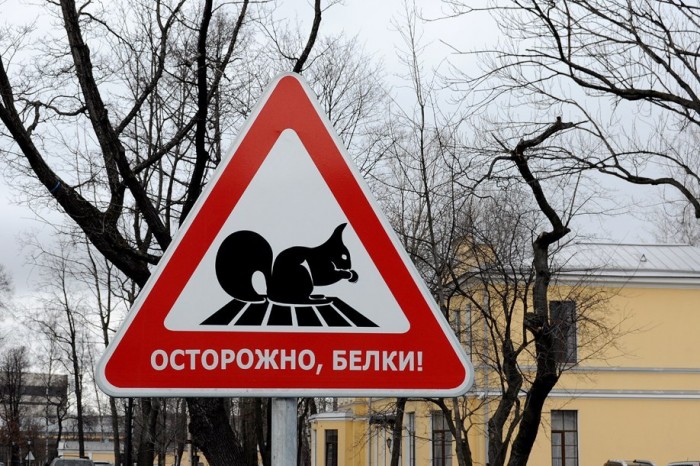 Обложка для статьи: Внутренний мотив невроза